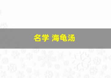 名学 海龟汤